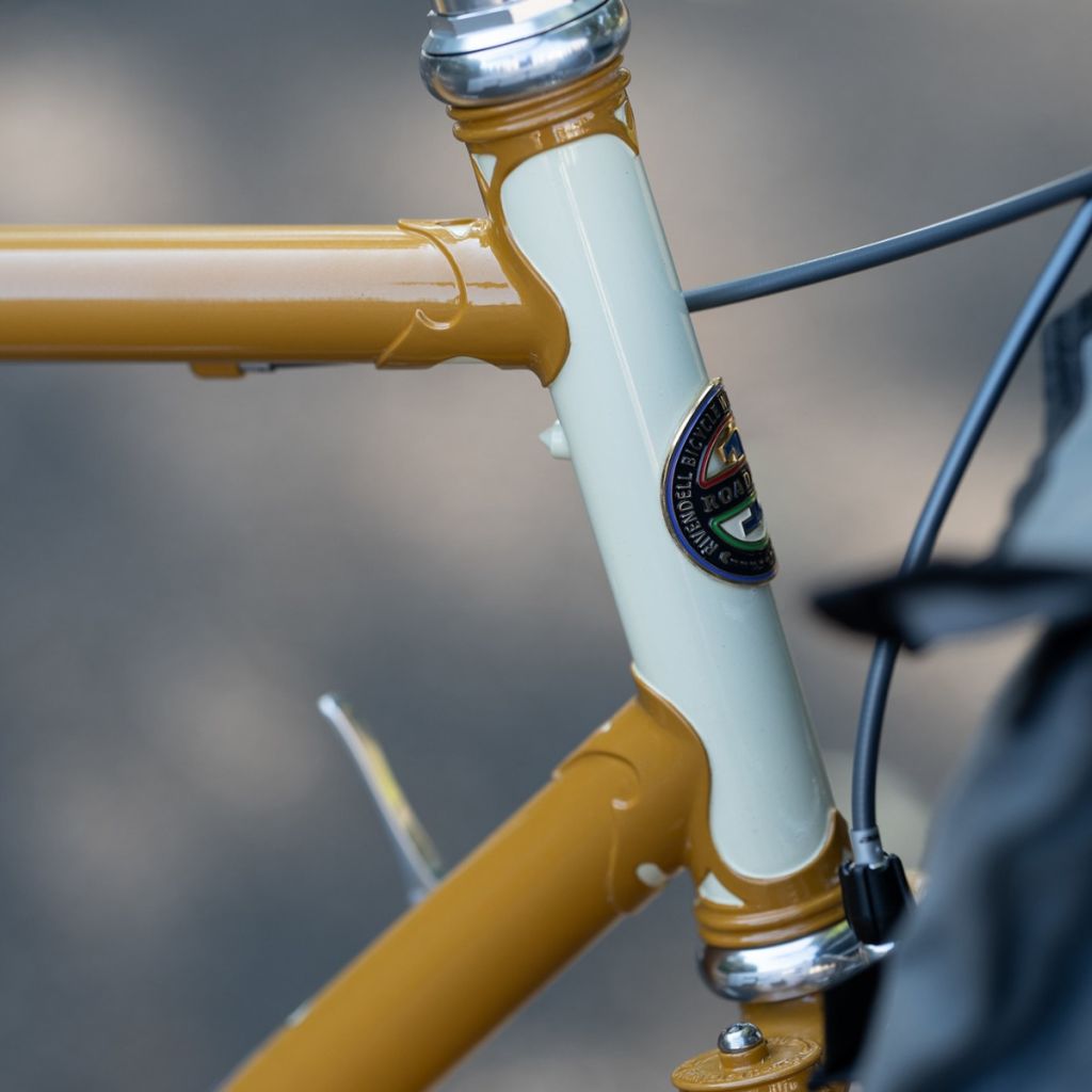 Surly crust Rivendell Bluelug allcity