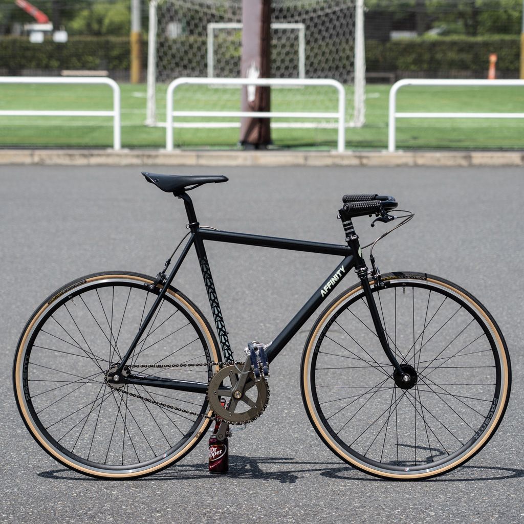 *AFFINITY CYCLES* 2022 lo pro track frame (film grain)
