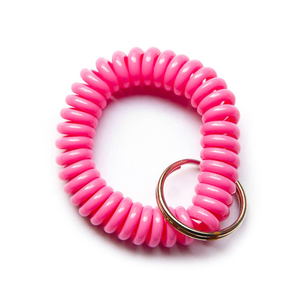 Wrist coil keychain dollar tree store