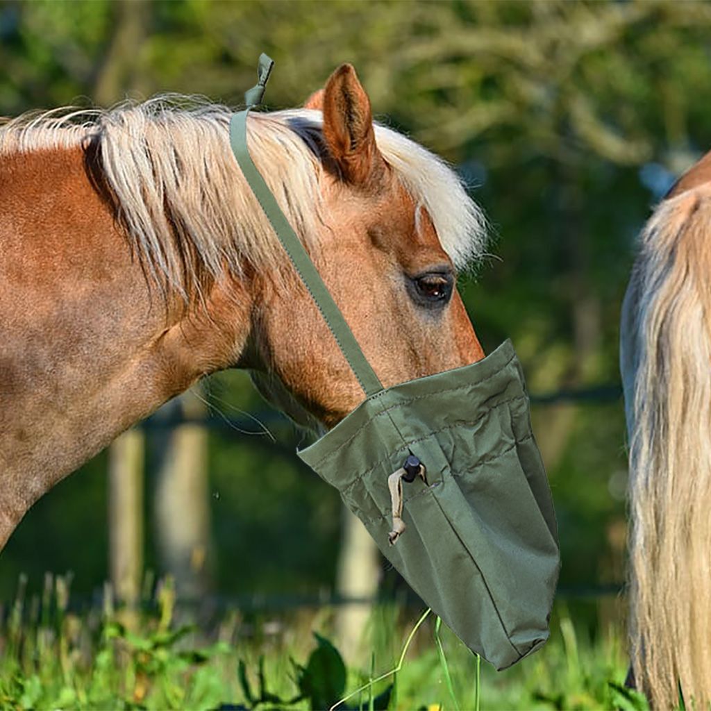 BLUE LUG horse feed bag olive BLUE LUG GLOBAL ONLINE STORE