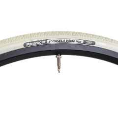 *PANARACER* pasela white plus (all white)