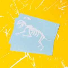 *TEAM DREAM* boney die cuts (white)