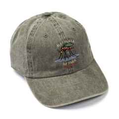 *BLUE LUG* local park cap (hatagaya/olive)