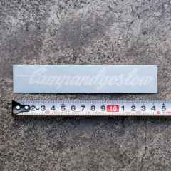 *CAMP AND GO SLOW* die cut sticker 5inch (white)