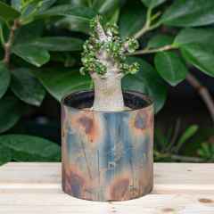 REW10 WORKS - BRANDS - BLUE LUG GLOBAL ONLINE STORE