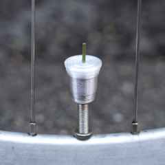 *MUGSHOT NYC* iced black valve cap