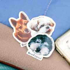 *BLUE LUG* best friend sticker pack