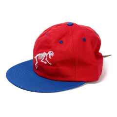 *TEAM DREAM* boney packable cap (red/blue)