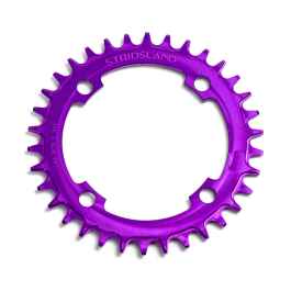 STRIDSLAND* narrow wide chainring (black) - BLUE LUG GLOBAL