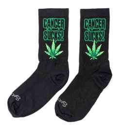 SockGuy Men's Cancer Sucks Socks, Pink, Large/X-Large