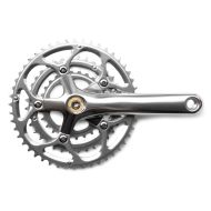 AARN* narrow wide chainring (camo) - BLUE LUG GLOBAL ONLINE