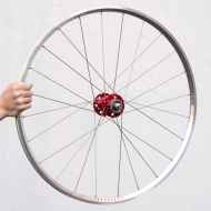 *VELOCITY×PHILWOOD* a23 pro track wheel rear (polish/24h)