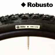 *ULTRADYNAMICO* rose robusto tire