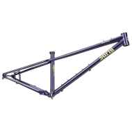*SURLY* sorceress frame (elderberry tonic)
