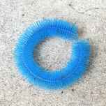 *BLUE LUG* hub shiner (blue)