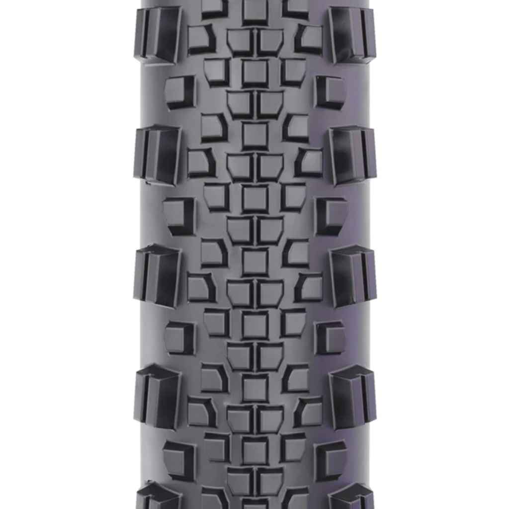 WTB* raddler tcs tire (black/tan) - BLUE LUG GLOBAL ONLINE STORE