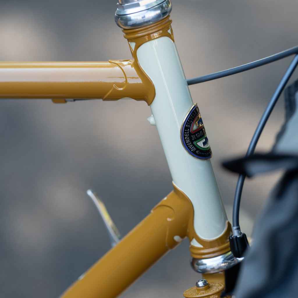 RIVENDELL* roaduno frame set (mustard) - BLUE LUG GLOBAL