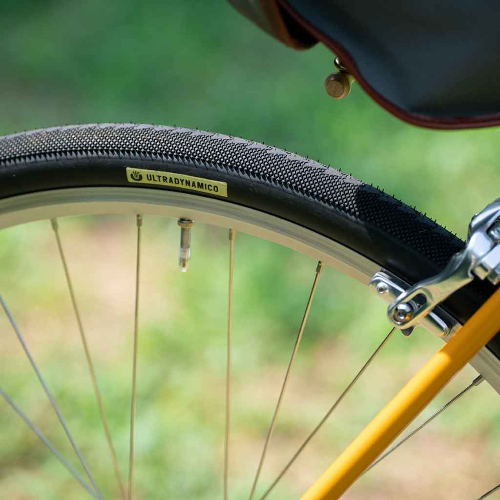 ULTRADYNAMICO* cava robusto tire (black/700c×33.??) - BLUE LUG