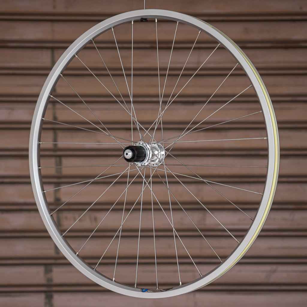 VELOCITY×ENE CICLO* atlas 650B wheel rear (silver) - BLUE LUG