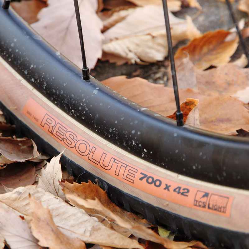 *WTB* resolute 700×42c tire (black/tan)