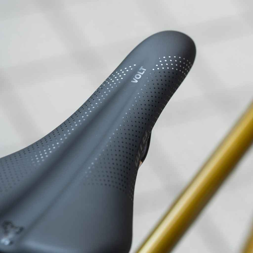 WTB* volt saddle medium (stainless/fusion form) - BLUE LUG GLOBAL