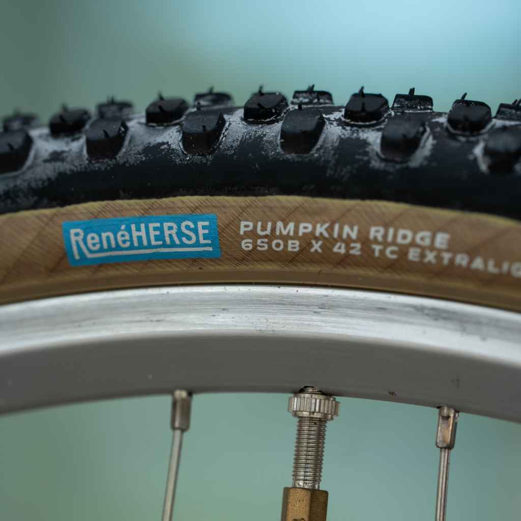 RENE HERSE* pumpkin ridge TC tire (black/tan) - BLUE LUG GLOBAL
