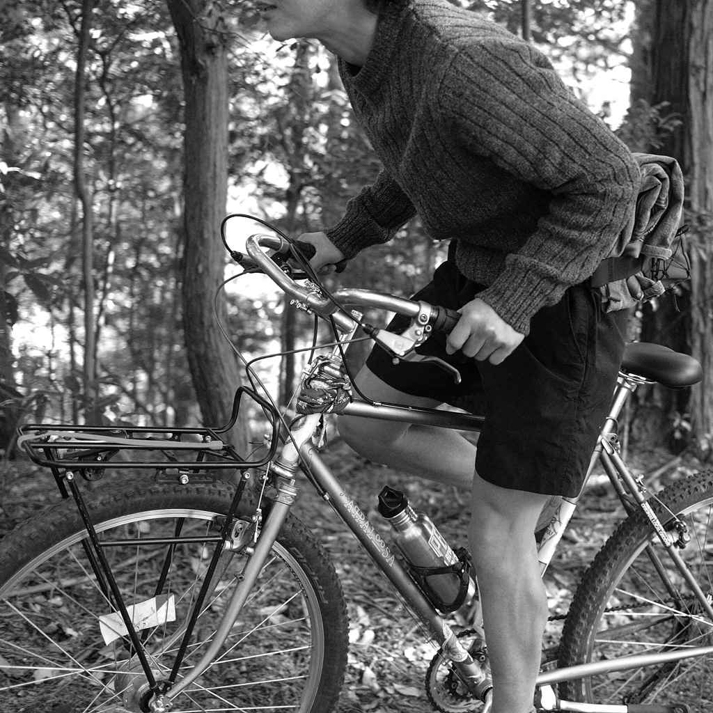 NITTO* FW30 power stem (dull) - BLUE LUG GLOBAL ONLINE STORE