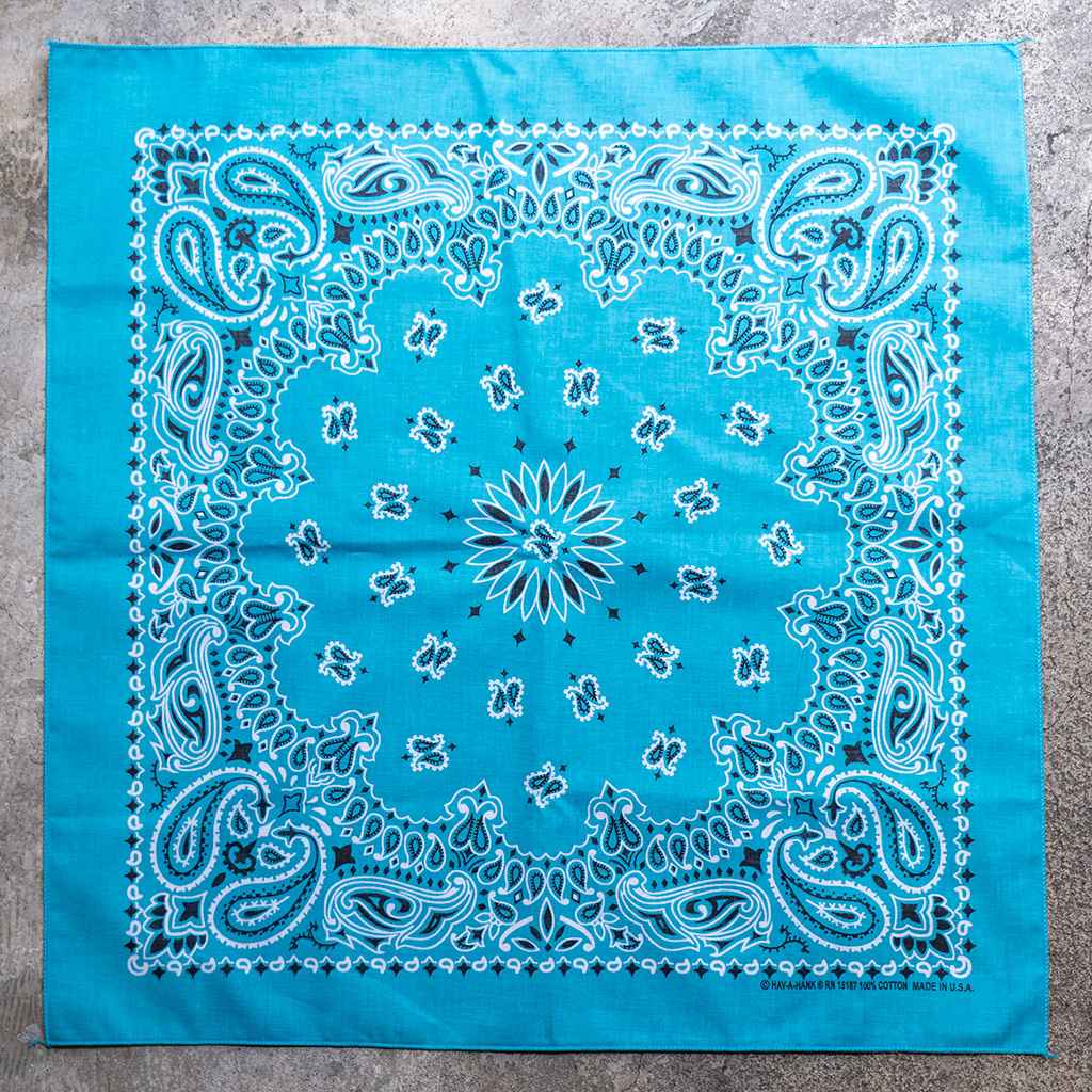 BL SELECT* bandana (paisley/turquoise) - BLUE LUG GLOBAL  display picture 3