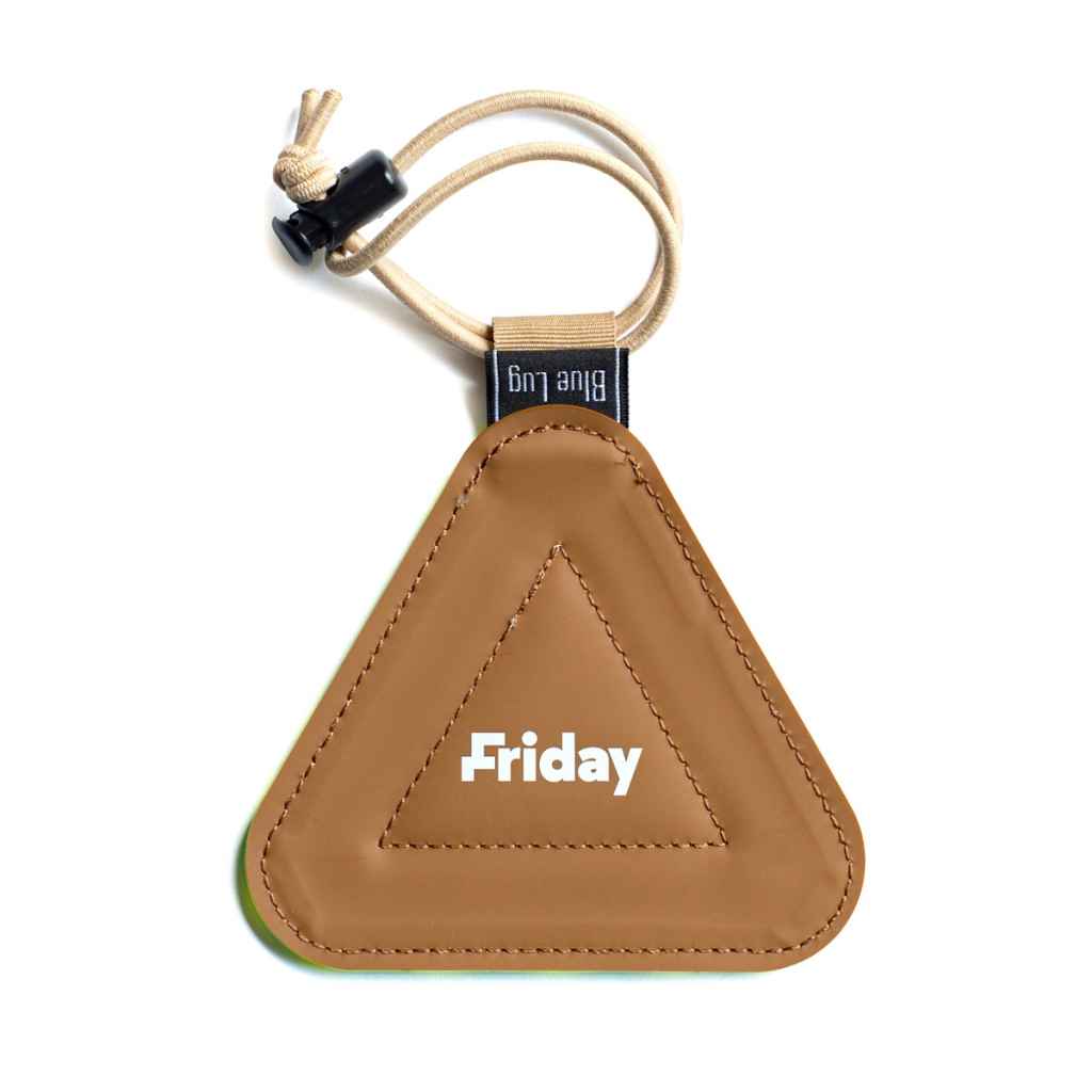 BLUE LUG* FRIDAY triangle reflector (green/gingham) - BLUE