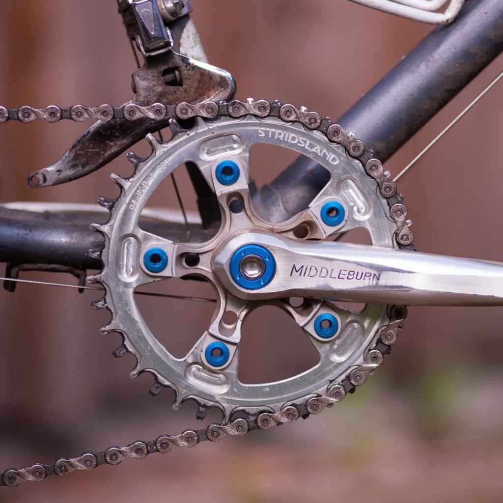 STRIDSLAND* chainring bolt (5pcs) - BLUE LUG GLOBAL ONLINE STORE