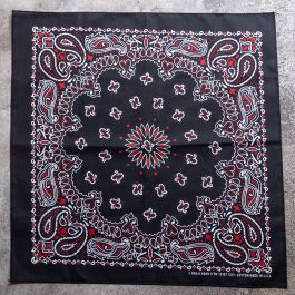 *BL SELECT* bandana (paisley/black/red)