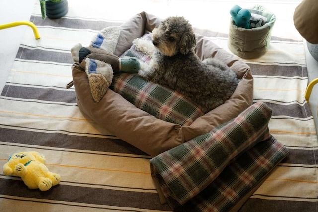 Dog Bed & Puff Blanket